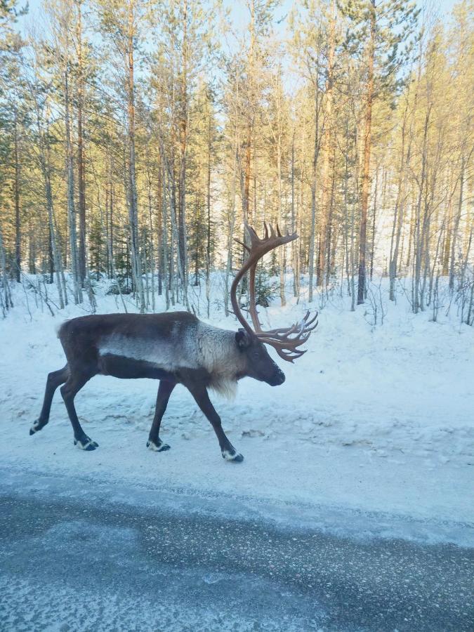 Yllaes Kanerva 105 Äkäslompolo Екстериор снимка